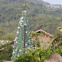 фото из отзыва ID 2743568