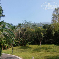 фото из отзыва ID 2743568