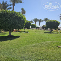 фото из отзыва ID 2743576