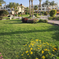 фото из отзыва ID 2743576