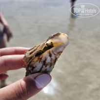 фото из отзыва ID 2743576