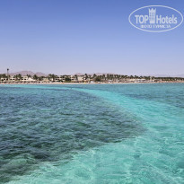 фото из отзыва ID 2743576