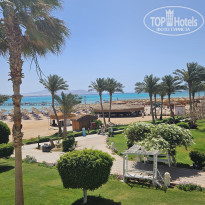 фото из отзыва ID 2743576