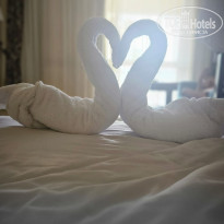 фото из отзыва ID 2743576