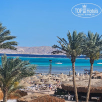 фото из отзыва ID 2743576