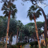 фото из отзыва ID 2743586