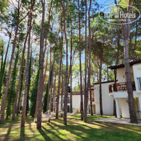 фото из отзыва ID 2743586