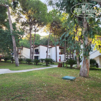 фото из отзыва ID 2743586