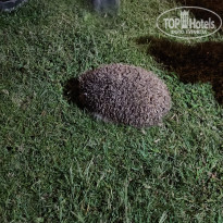 фото из отзыва ID 2743586