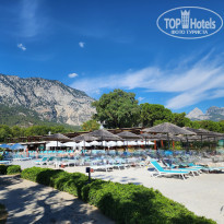 фото из отзыва ID 2743586