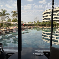 фото из отзыва ID 2743592