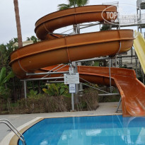 фото из отзыва ID 2743595