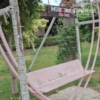 фото из отзыва ID 2743595