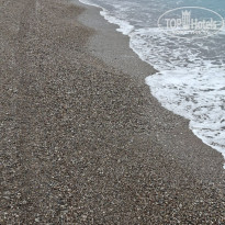 фото из отзыва ID 2743595