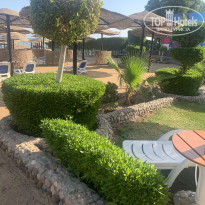 фото из отзыва ID 2743594