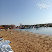 фото из отзыва ID 2743598