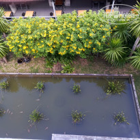 фото из отзыва ID 2743606