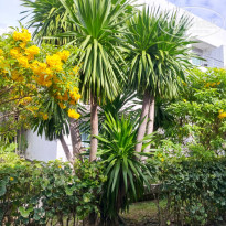 фото из отзыва ID 2743606