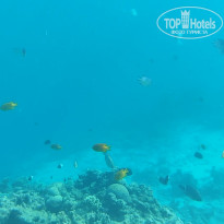 фото из отзыва ID 2743609