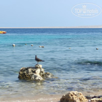 фото из отзыва ID 2743609