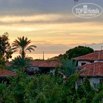 фото из отзыва ID 2743647