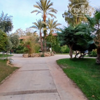 фото из отзыва ID 2743647