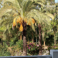 фото из отзыва ID 2743644