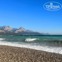 фото из отзыва ID 2743652