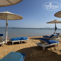 фото из отзыва ID 2743665