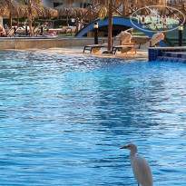 фото из отзыва ID 2743629