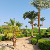 фото из отзыва ID 2743629