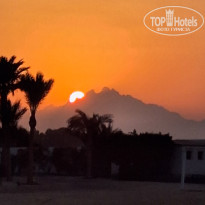 фото из отзыва ID 2743629