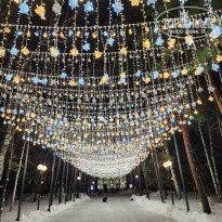 фото из отзыва ID 2743671