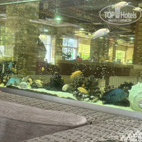 фото из отзыва ID 2743673