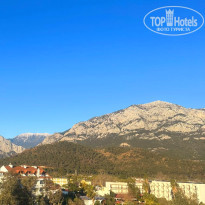 фото из отзыва ID 2743673