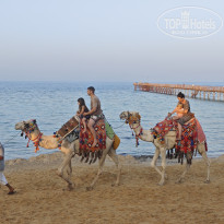 фото из отзыва ID 2743670