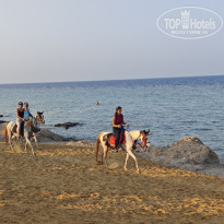 фото из отзыва ID 2743670