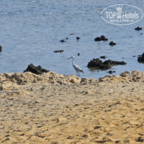 фото из отзыва ID 2743670