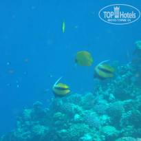 фото из отзыва ID 2743670