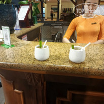 фото из отзыва ID 2743678