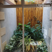 фото из отзыва ID 2743678