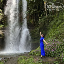 фото из отзыва ID 2743678