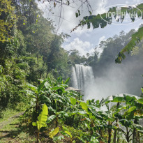 фото из отзыва ID 2743678