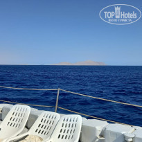 фото из отзыва ID 2743687