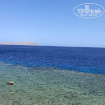 фото из отзыва ID 2743687