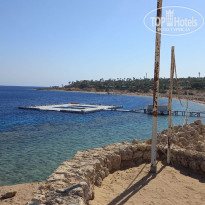 фото из отзыва ID 2743687