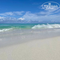 фото из отзыва ID 2743697