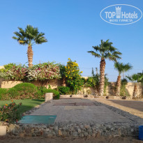 фото из отзыва ID 2743661