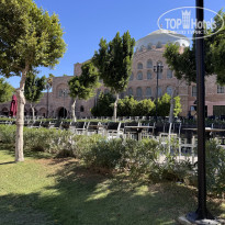 фото из отзыва ID 2743706