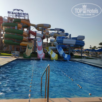 фото из отзыва ID 2743708